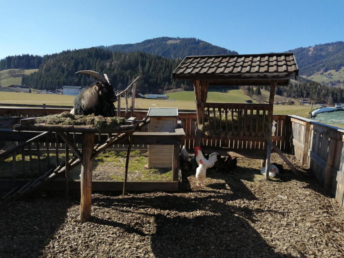 Landhaus Fingerhof Flachau Bagian luar foto